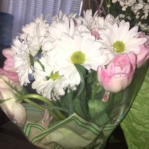 Meet your Posher, Daisy